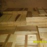 bracacore